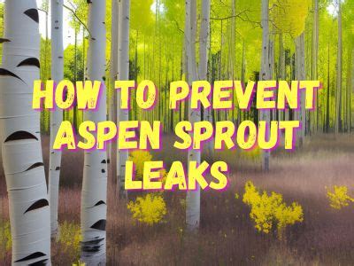 simple sprout leaks|An Ultimate Guide To Aspen Sprout Leaks